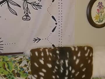 bambifawns4u