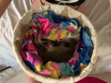lunababyboobear